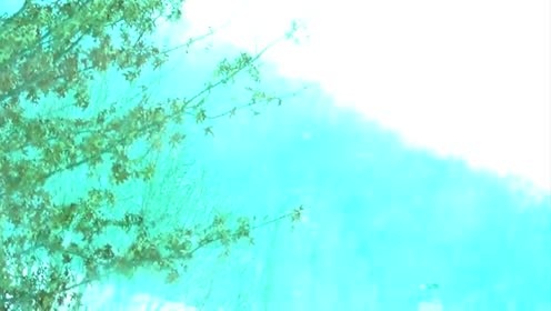 Fleet Foxes - Blue Ridge Mountains