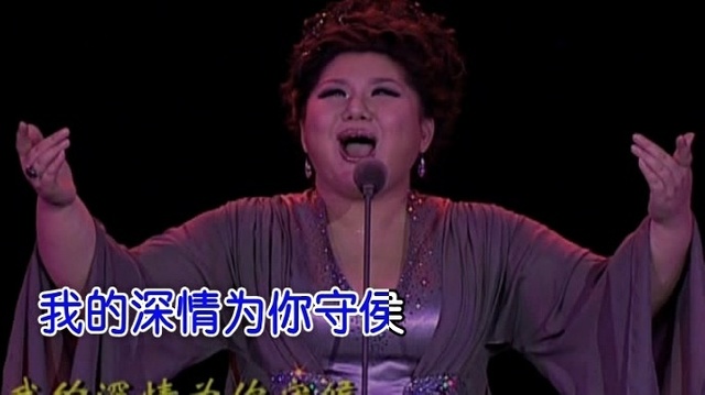 张妮 - 我的深情为你守侯 (KTV版)