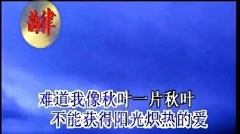 魏松 - 我像雪花天上 (KTV版)