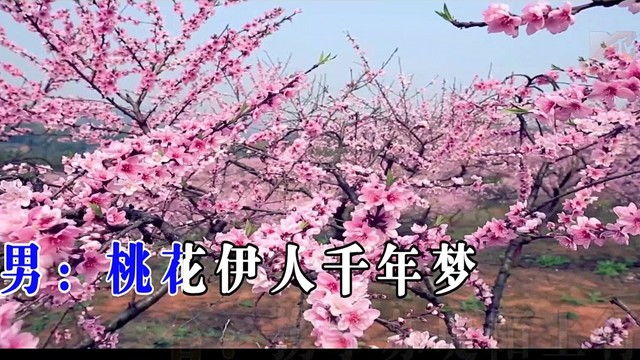 高音敏子 - 苏堤陌上行 (KTV版) (..)
