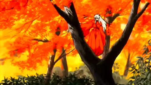 同人音乐 - [华语MAD]一生所爱 - 犬夜叉 (饭制版)