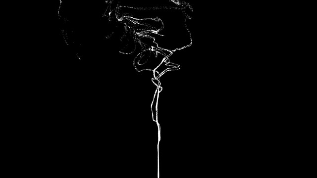 이상의날개 - 향 (音频版)