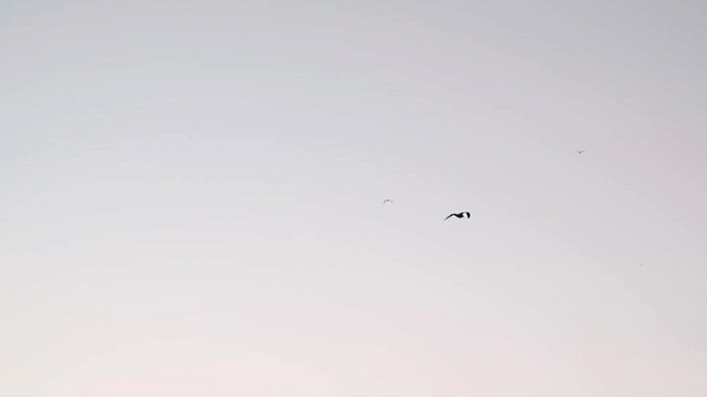 KLYMVX - After Midnight Remixes EP (Teaser) (Teaser) (预告版)