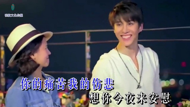 刘晓娟 - 你伤心我陶醉