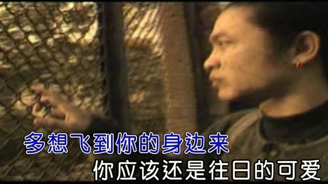 张挥 - 远方我的爱 (KTV版)