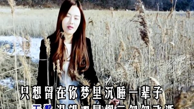 秦影 - 爱你真的好难吗 (KTV版)