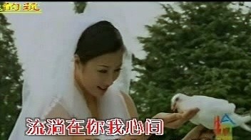 马雅君 - 共同的家园 (KTV版)