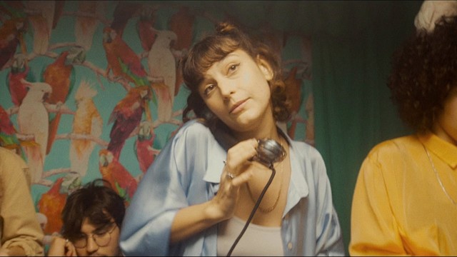 Stay Homas - Cacatúa