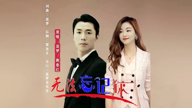 追梦 - 无法忘记你 (对唱版)