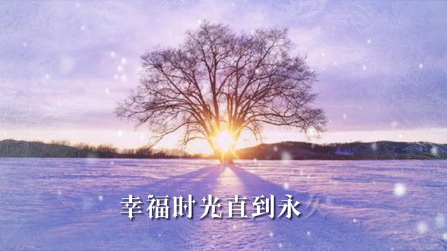 安静 - 以我深情 许你白首