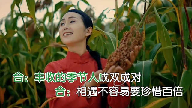 张仪 - 硕果累累 (对唱版)