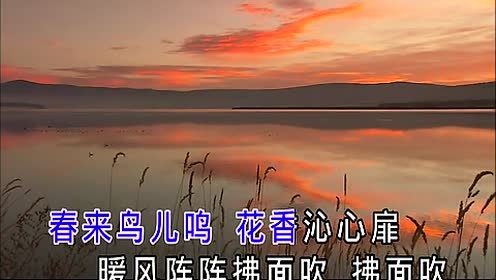 苗雨 - 家住临沂 (KTV版)