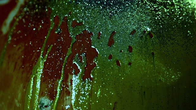 Cascadeur - Collector