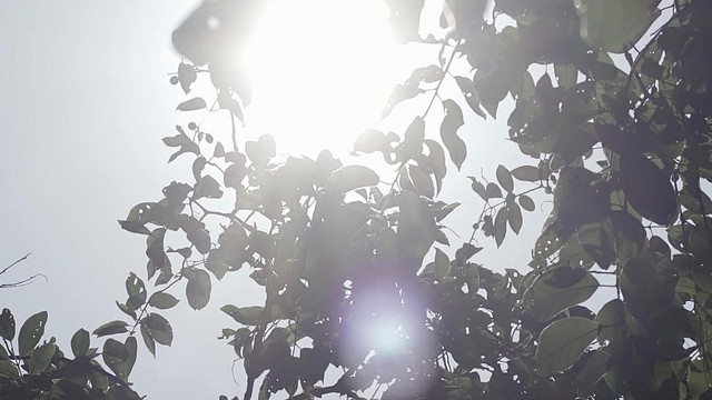 陈维希 - 写一首lovesong送给自己