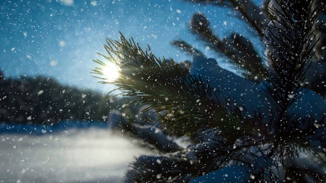 Orchestra of the Royal Opera House, Covent Garden - The Nutcracker, Op. 71: No. 13, Waltz of the Flowers (Audio) (音频版)