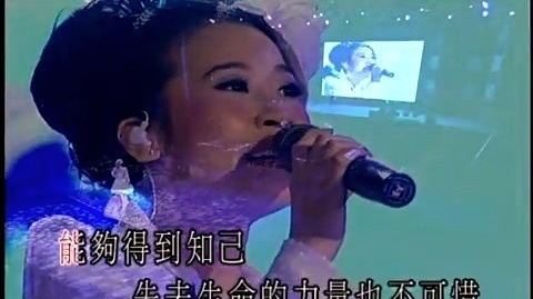 陈洁丽 - 我只在乎你 (KTV版)