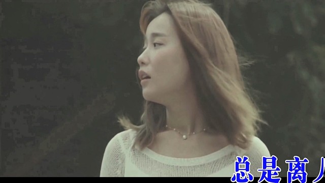 孤雁南飞 - 孤雁南飞 (KTV版)