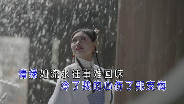 修竹 - 想问梅花多少泪 (KTV版)