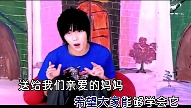 陆虎 - 再听妈妈的话 (KTV版)