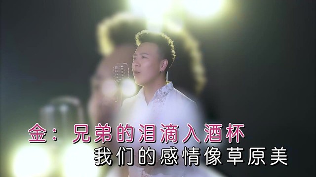 王亚 - 兄弟的泪 (KTV版)