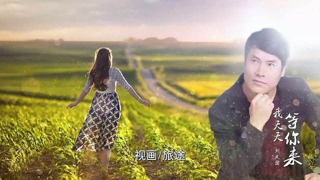 刘凤国 - 我天天等你来 (KTV版)