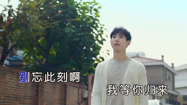 李葵航 - 远方的恋人 (KTV版)
