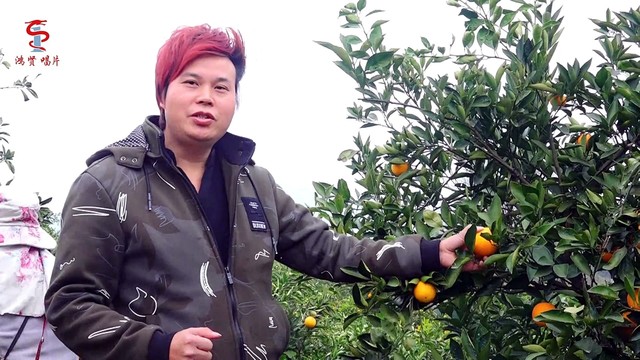 周祥 - 七地之歌