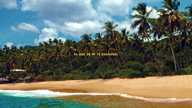 Danny Ocean - Vitamina