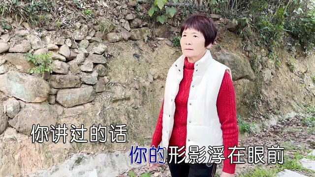 陈容斌 - 故乡的妈妈