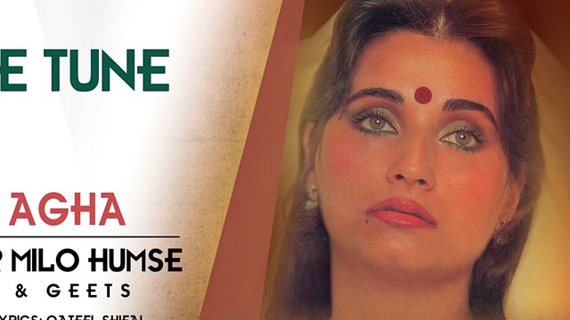 Salma Agha - Mujhe Tune (音频版)