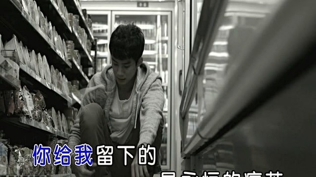 赖敏 - 无尽责怪 (KTV版)