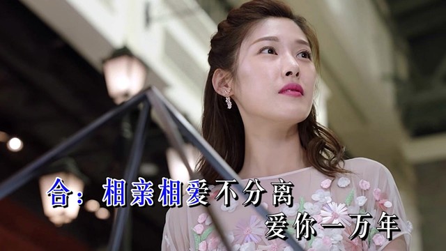 杨美华 - 想你想的夜难眠 (KTV版)