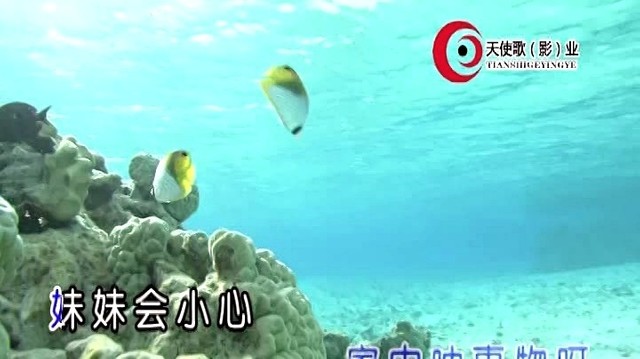 马蕊 - 送郎当红军 (KTV版)