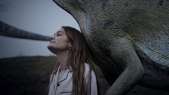 Emily Roberts - Dinosaurs