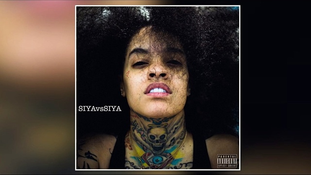 Siya - Picket Fences (音频版)