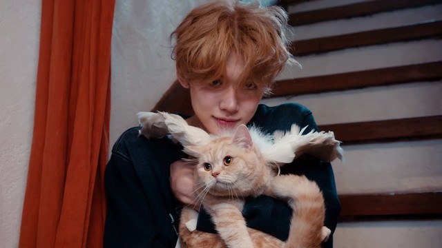 YEONJUN - 「The Star Chapter: SANCTUARY」ANGEL 版单人概念预告 (预告版)