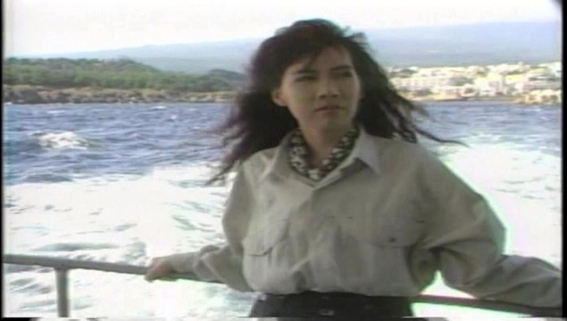 刘雪芳 - 爱上你是我一生的错