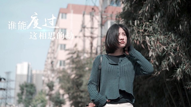 金太阳 - 谁能度过这相思的劫