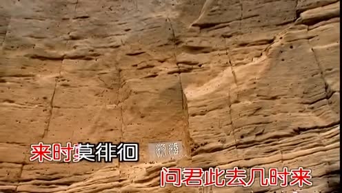 董文华 - 送别 (KTV版)