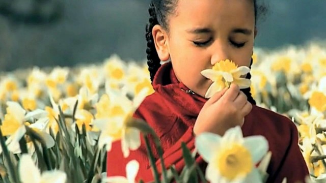 蓝蕊 - 浅遇深爱 (KTV版)