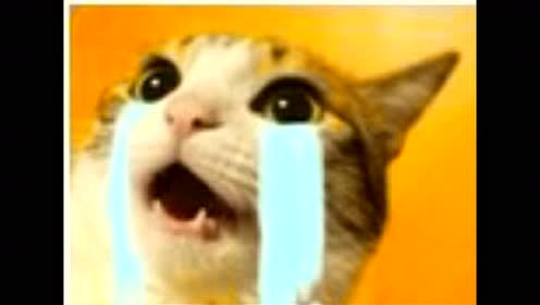 模仿翻唱 - 【福利】反正你们就喜欢这样的是吧？是人就给我坚持到最后！ (饭制版)