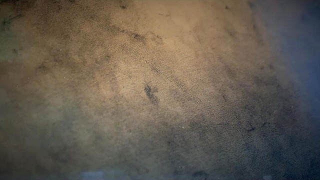 No Resolve - Dancing with Your Ghost (歌词版)