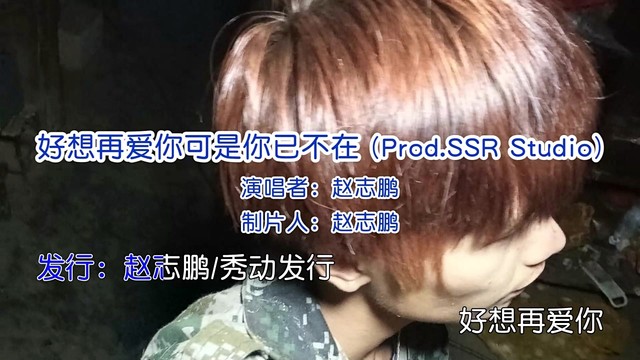 赵志鹏 - 好想再爱你可是你已不在 (Prod.SSR Studio)