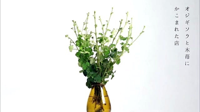 橋本絵莉子 - 飛翔 (歌词版)