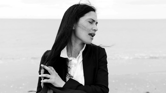 Anna Coddington - Without A Fight