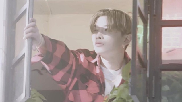 满舒克 - 做我的猫