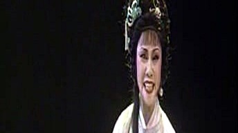 李金枝 - 【豫剧】泪洒相思地 5/5