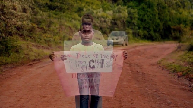 Dandora Music - Save Our Elephants