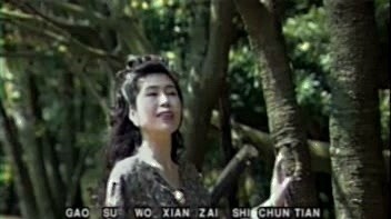 林淑容 - 春风吻上我的脸 (KTV版)