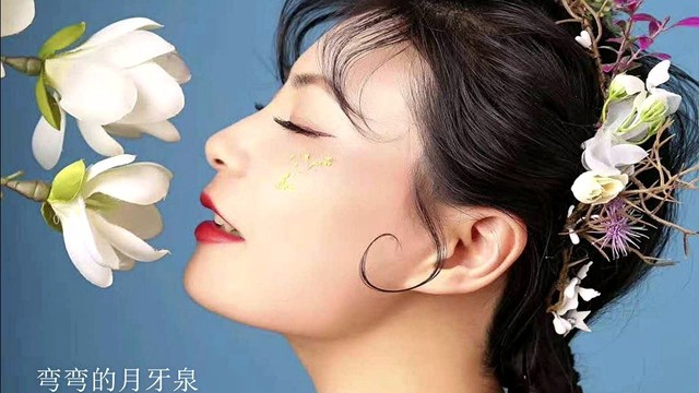 张玉凤 - 弯弯的月牙泉